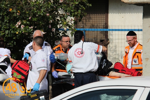 fall from above (7).JPG